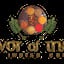 Flavor Of India